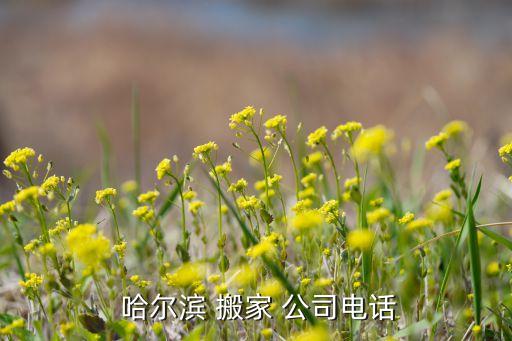  哈尔滨 搬家 公司电话