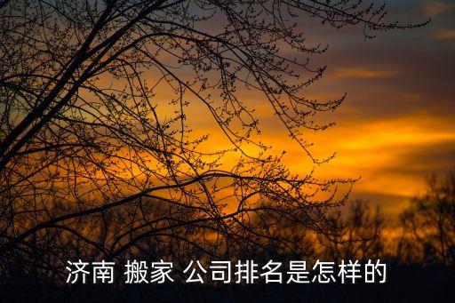 济南 搬家 公司排名是怎样的