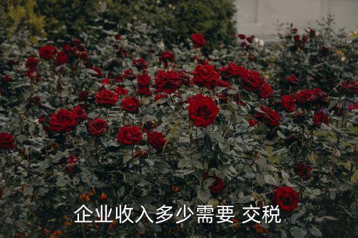 企业收入多少需要 交税