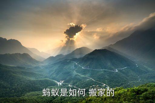 怎样看蚂蚁搬家,怎样描写蚂蚁搬家的过程