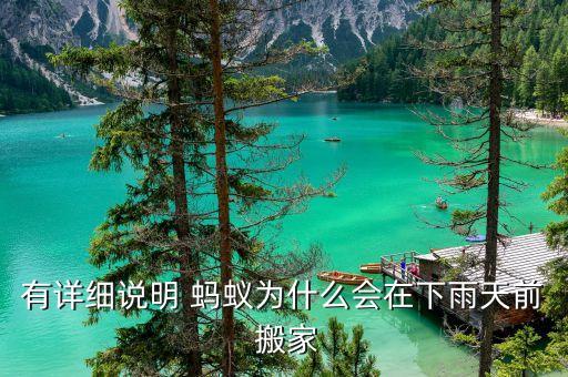 有详细说明 蚂蚁为什么会在下雨天前 搬家