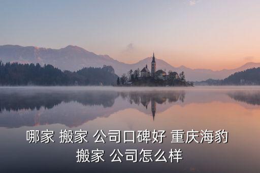 哪家 搬家 公司口碑好 重庆海豹 搬家 公司怎么样