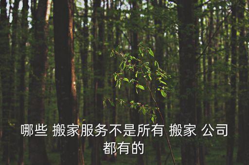 哪些 搬家服务不是所有 搬家 公司都有的