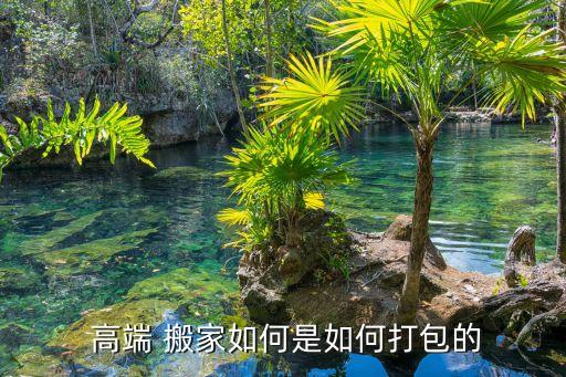 德国高端 搬家公司,高端搬家公司电话?价格多少?