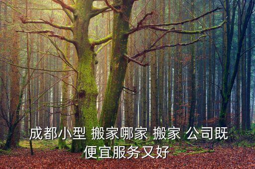  成都小型 搬家哪家 搬家 公司既便宜服务又好