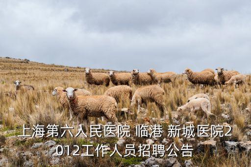 上海第六人民医院 临港 新城医院2012工作人员招聘公告