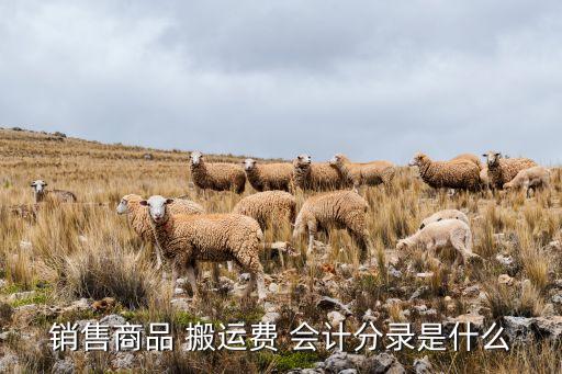搬家公司搬运费会计核算,货拉拉搬家公司人工搬运费怎么收