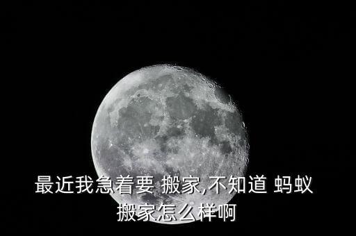 真蚂蚁搬家 坑,蚂蚁搬家的过程按先后顺序