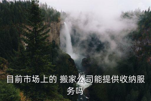 目前市场上的 搬家公司能提供收纳服务吗