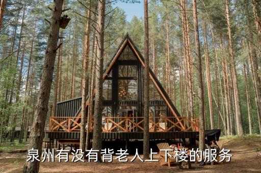 泉州有没有背老人上下楼的服务