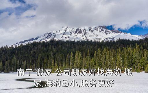 南宁 搬家 公司哪家好找海豹 搬家,海豹虽小,服务更好