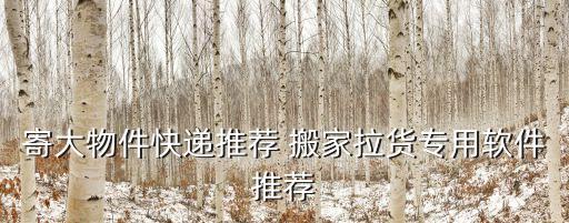 寄大物件快递推荐 搬家拉货专用软件推荐