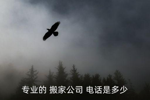 专业的 搬家公司 电话是多少