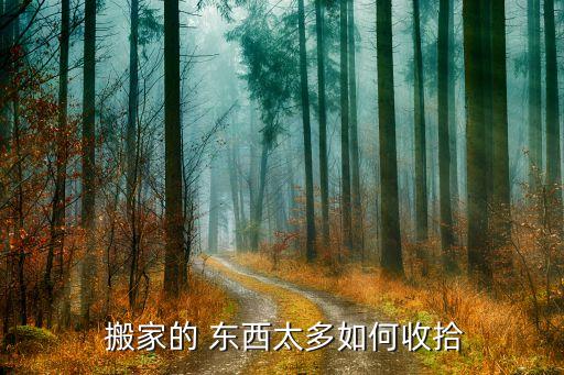  搬家的 东西太多如何收拾
