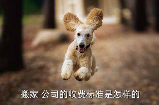  搬家 公司的收费标准是怎样的