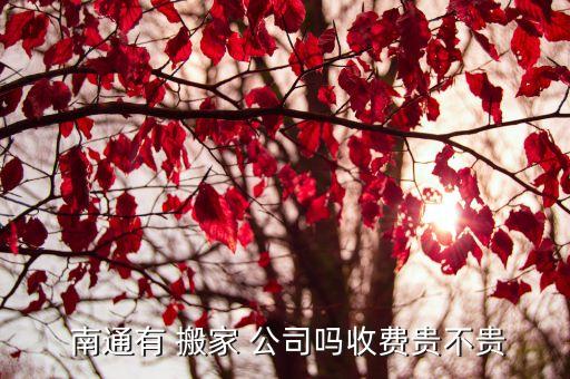  南通有 搬家 公司吗收费贵不贵