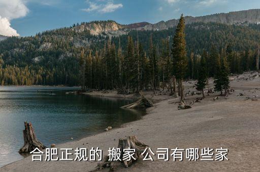 合肥正规的 搬家 公司有哪些家
