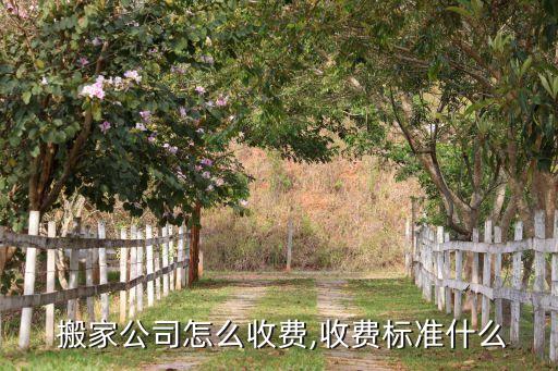  搬家公司怎么收费,收费标准什么
