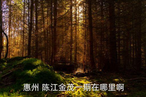  惠州 陈江金茂一期在哪里啊