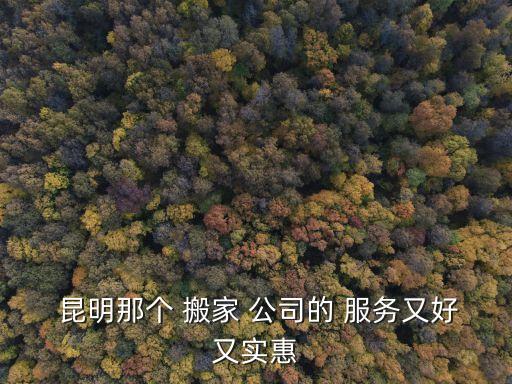  昆明那个 搬家 公司的 服务又好又实惠