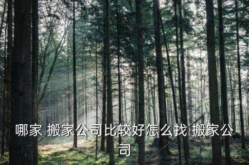 哪家 搬家公司比较好怎么找 搬家公司