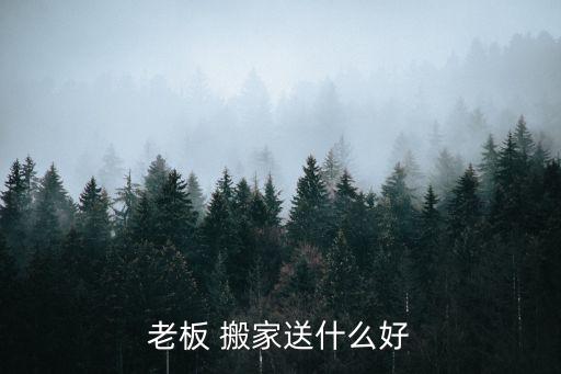 老板 搬家送什么好