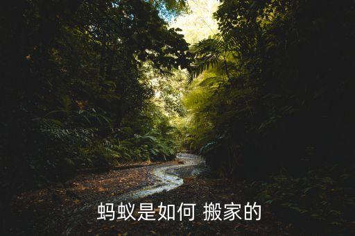 蚂蚁搬家搬到哪儿去了呢,家里有蚂蚁搬家会不会搬到新家