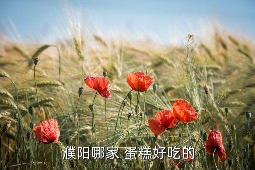  濮阳哪家 蛋糕好吃的