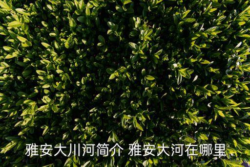雅安雨城搬家公司
