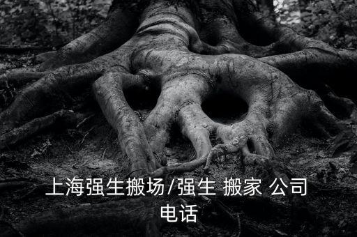  上海强生搬场/强生 搬家 公司 电话