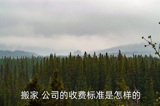  搬家 公司的收费标准是怎样的