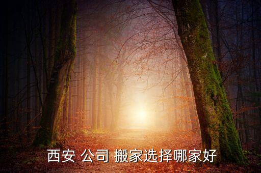 靠谱的搬家公司 西安
