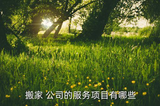 蓬莱小型搬家公司,小型搬家公司电话号码