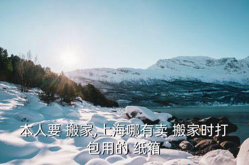 本人要 搬家,上海哪有卖 搬家时打包用的 纸箱