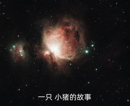 广州小猪搬家电话,广州搬家电话是多少号