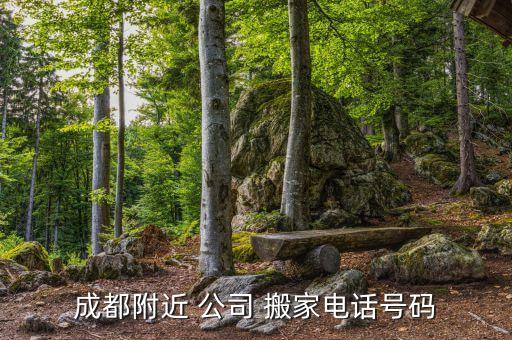 文一路搬家公司,杭州文一路搬家公司