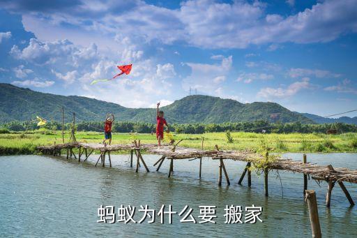  蚂蚁为什么要 搬家