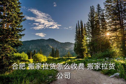  合肥 搬家拉货怎么收费 搬家拉货 公司