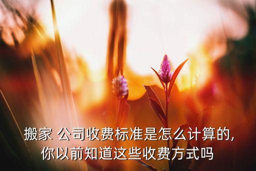 泸州市搬家公司怎么叫,怎么叫搬家公司搬东西