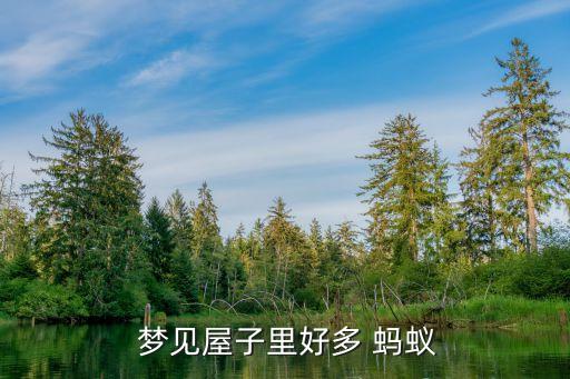 梦见卧室也有许多蚂蚁搬家