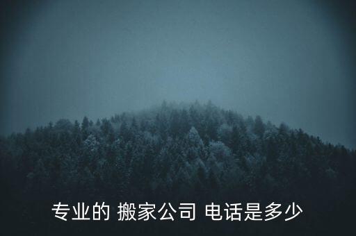 专业的 搬家公司 电话是多少