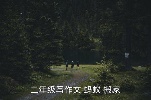 少儿体适能小蚂蚁搬家
