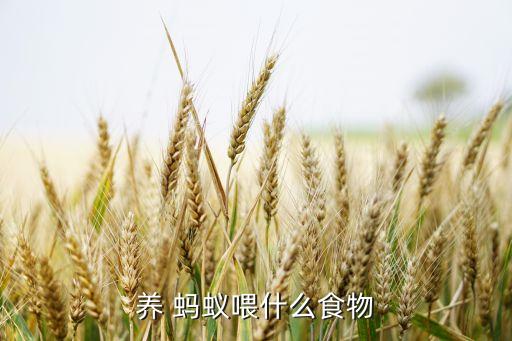 养蚂蚁搬家需要买水果文案