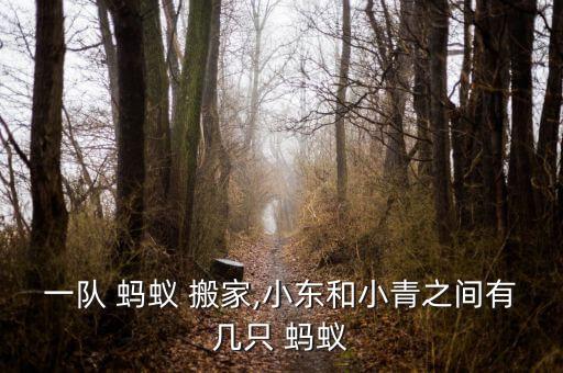 一队 蚂蚁 搬家,小东和小青之间有几只 蚂蚁
