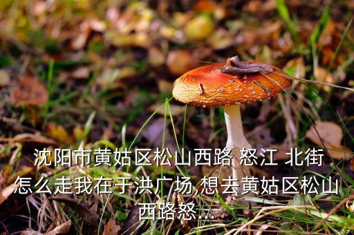  沈阳市黄姑区松山西路 怒江 北街怎么走我在于洪广场,想去黄姑区松山西路怒...