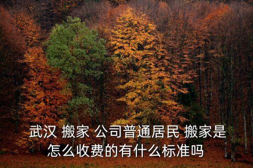  武汉 搬家 公司普通居民 搬家是怎么收费的有什么标准吗