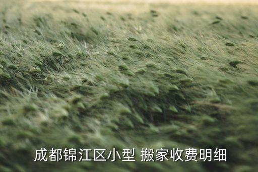  成都锦江区小型 搬家收费明细