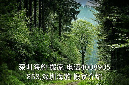 麻城闵集搬家公司电话地址