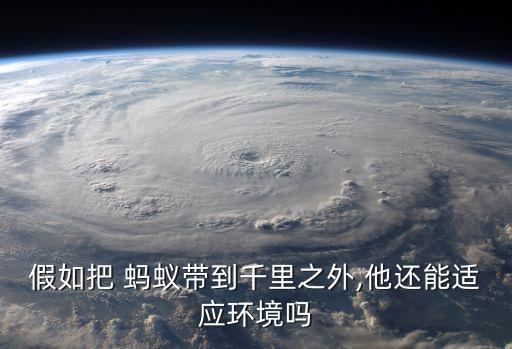 假如把 蚂蚁带到千里之外,他还能适应环境吗