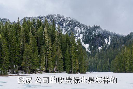  搬家 公司的收费标准是怎样的